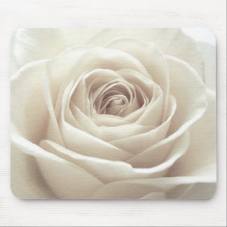 Hübsche weiße Rose Mousepad