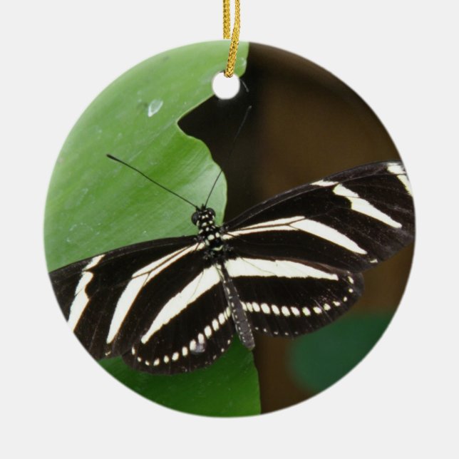 Hübsche Zebra Langwing Butterfly Ornament (Vorne)