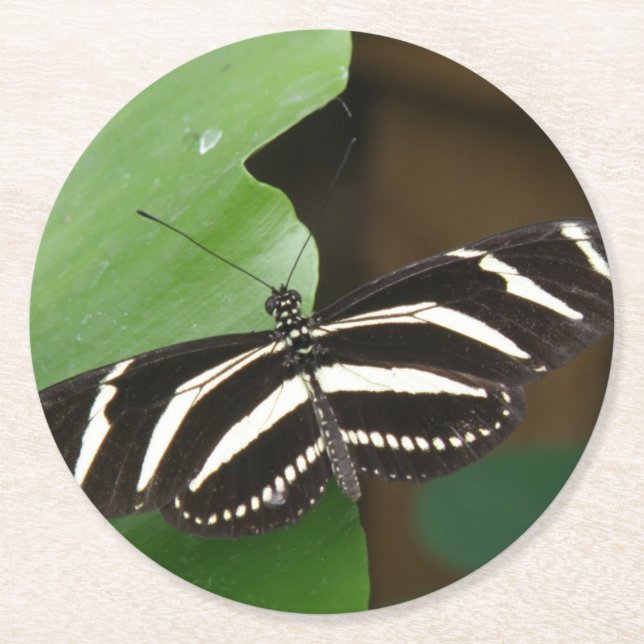 Hübsche Zebra Longwing Butterfly Paper Untersetzer (Vorderseite)