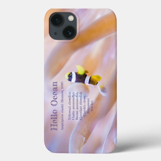 hübscher Anemonefisch Case-Mate iPhone Hülle (Rückseite)