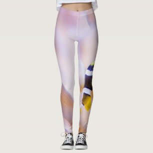 hübscher Anemonefisch Leggings