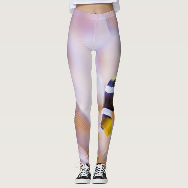 hübscher Anemonefisch Leggings (Vorderseite)