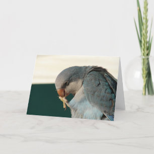 Hübscher Bird Karte