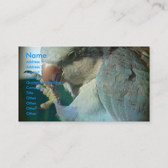 Hübscher Bird Visitenkarte (Vorderseite)