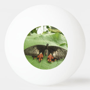Hübscher Black Red and Gold Butterfly Pong Ball Tischtennisball