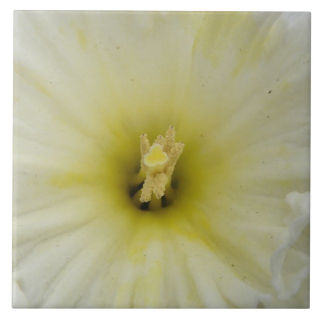 Hübscher, blass gefärbter Faden Fliese (Vorderseite)