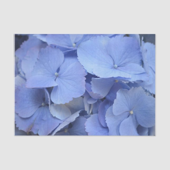 Hübscher blauer Hydrangea Seidenpapier (Vorderseite)