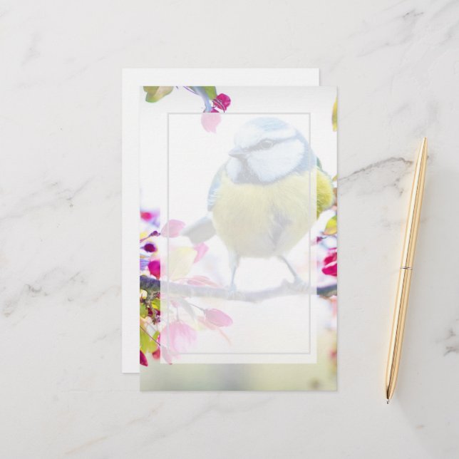 Hübscher Blauer und Gelber Bird auf einem Zweigbil (Vorderseite/Rückseite Beispiel)