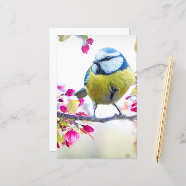 Hübscher Blauer und Gelber Bird auf einem Zweigbil (Vorderseite/Rückseite Beispiel)