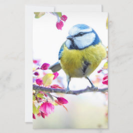 Hübscher Blauer und Gelber Bird auf einem Zweigbil