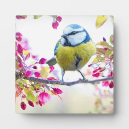 Hübscher Blauer und Gelber Bird auf einem Zweigbil Fotoplatte