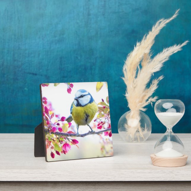 Hübscher Blauer und Gelber Bird auf einem Zweigbil Fotoplatte (InSitu)