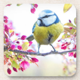 Hübscher Blauer und Gelber Bird auf einem Zweigbil Getränkeuntersetzer