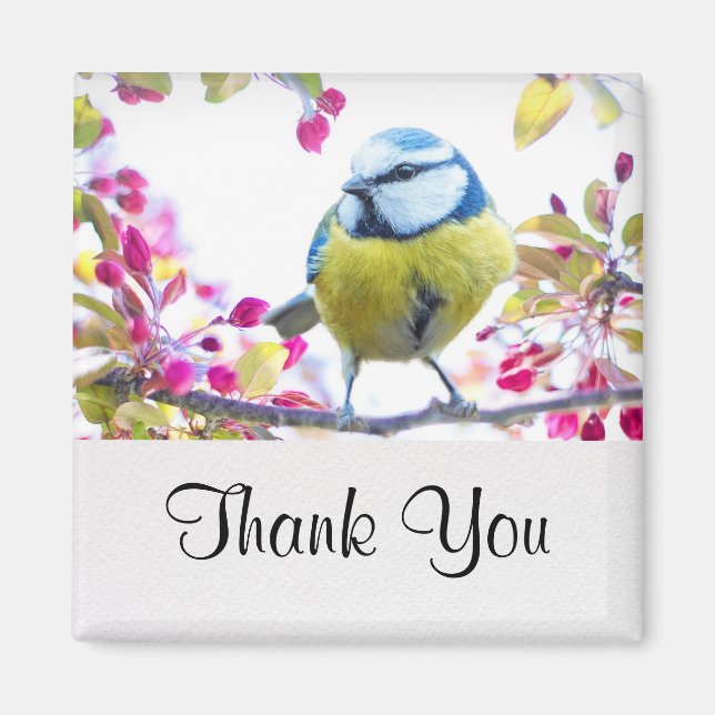 Hübscher Blauer und Gelber Bird auf einem Zweigbil Magnet (Vorne)