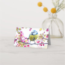 Hübscher Blauer und Gelber Bird auf einem Zweigbil