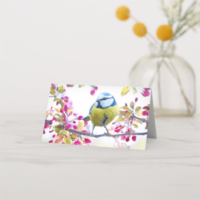 Hübscher Blauer und Gelber Bird auf einem Zweigbil Platzkarte (Vorderseite)