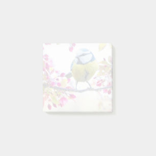 Hübscher Blauer und Gelber Bird auf einem Zweigbil Post-it Klebezettel