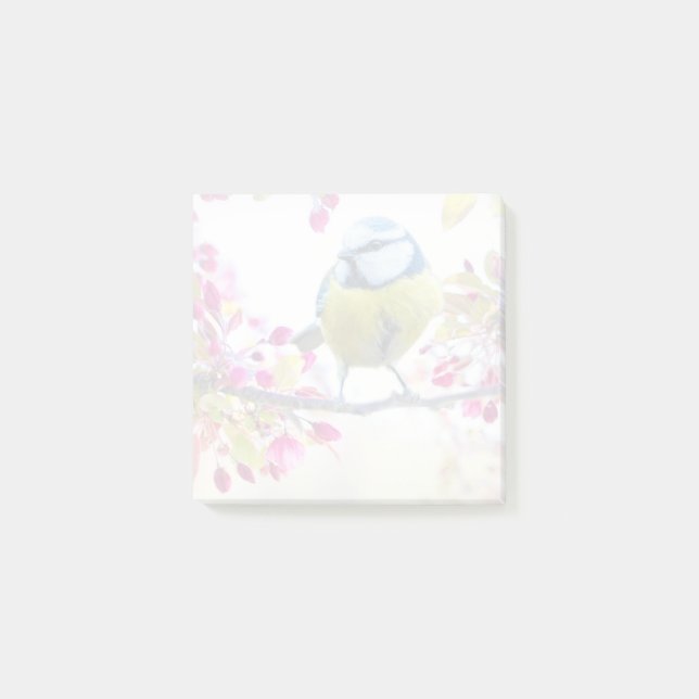 Hübscher Blauer und Gelber Bird auf einem Zweigbil Post-it Klebezettel (Vorderseite)