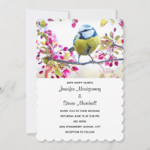 Hübscher Blauer und Gelber Bird bei einer Branchen Einladung