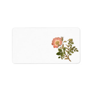 Hübscher Blumenaufkleber - rosa Vintage Rose Adressaufkleber