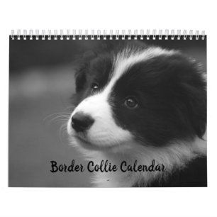 Hübscher Border Collie-Hundekalender Kalender