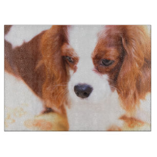 Hübscher Cavalier King Charles Spaniel Schneidebrett