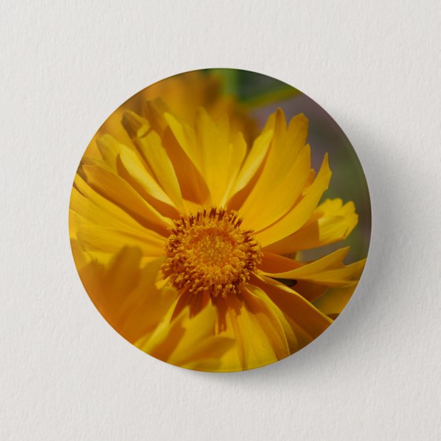 Hübscher Coreopsis-Blumen-Knopf Button (Vorderseite)