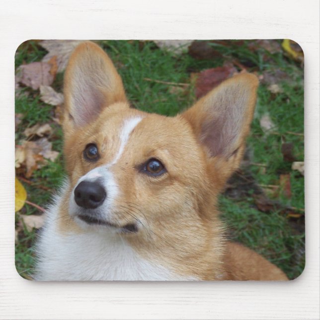Hübscher Corgi Mousepad (Vorne)