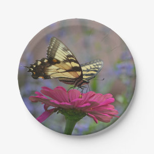 Hübscher Frack-Schmetterling Pappteller