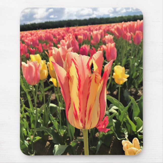 Hübscher Frühlingsstift, Oregon Mousepad (Vorne)