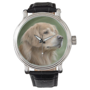 Hübscher golden retriever-Hund in der Nahaufnahme Armbanduhr