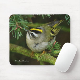 Hübscher Goldhähnchen-Singvogel sorgt für Aufruhr  Mousepad