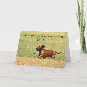 Hübscher Hund Dackel Happy Birthday card. Karte