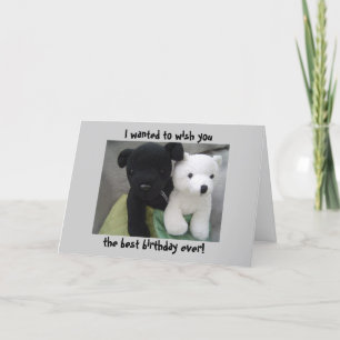 Hübscher Hund und Bär zum Geburtstag Karte