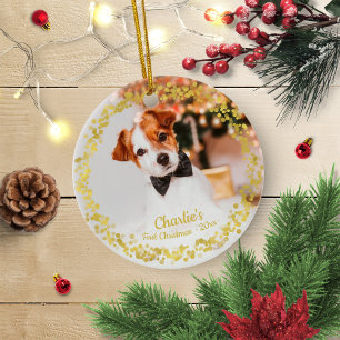 Hübscher Hund Welpe Haustier Erstes Weihnachten Ei Keramik Ornament