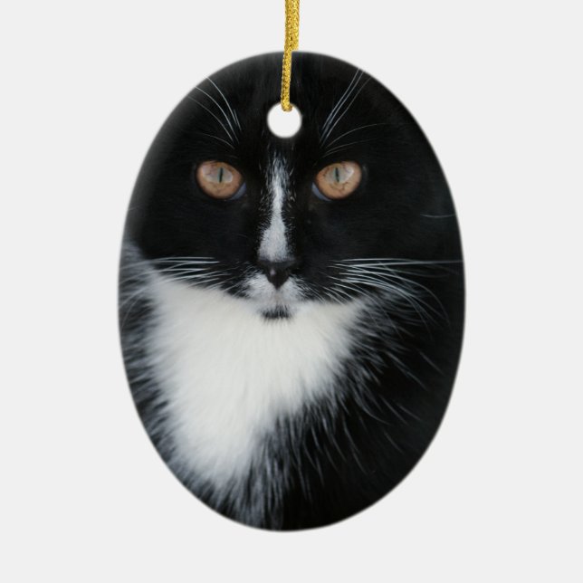 Hübscher JungeTuxedoKitty Keramik Ornament (Vorne)