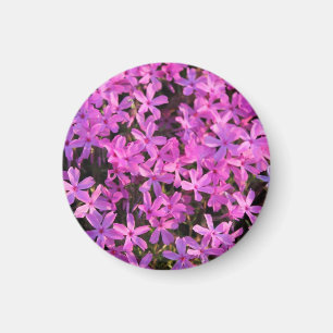 Hübscher lila Blumen-Magnet Magnet