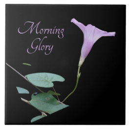 Hübscher lila Morgenglanz auf schwarz  Fliese