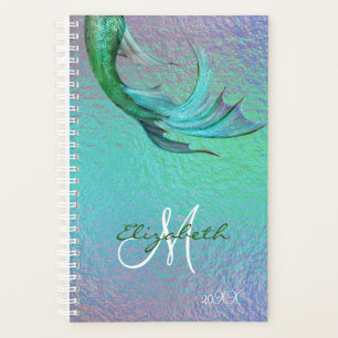 Hübscher Mermaid Schwanz Iridescent Organiser Dail