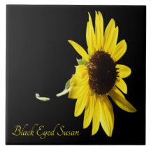 Hübscher mit Augen schwarzer Sushan auf schwarz