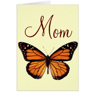 Hübscher Monarch-Schmetterling