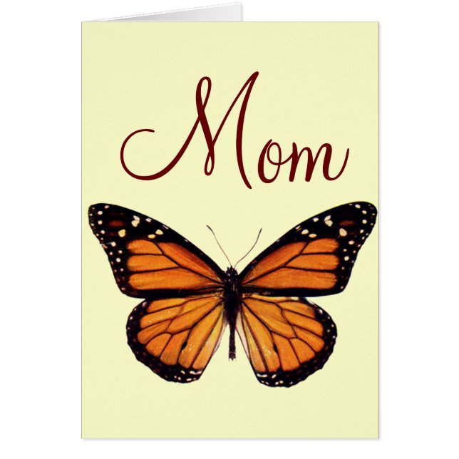 Hübscher Monarch-Schmetterling (Vorne)