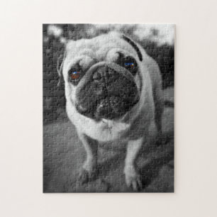 Hübscher Mops Puzzle