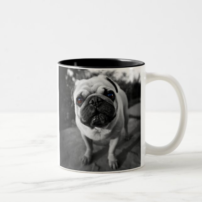 Hübscher Mops Zweifarbige Tasse (Rechts)
