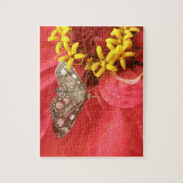 Hübscher Moth auf Red Blume Puzzle (Vertikal)