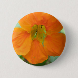 Hübscher Orange Nasturtium Blume Button