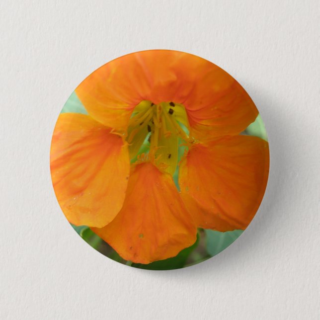 Hübscher Orange Nasturtium Blume Button (Vorderseite)