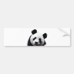 Hübscher Panda Artwork Autoaufkleber
