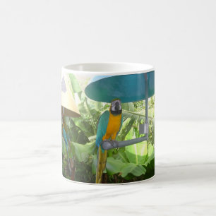 Hübscher Papagei Tasse