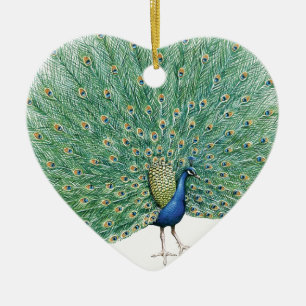 Hübscher Pfau Keramikornament